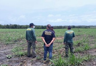 Operação conjunta entre Polícia Federal e Ibama encontrou mais de 45 hectares de terras desmatadas na Paraíba