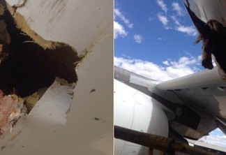 Um pássaro bateu de frente com um avião e deixou um rombo na aeronave