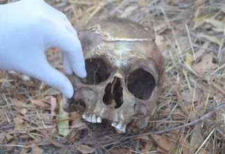 ACHADO MACABRO: Cachorro encontra crânio humano na zona rural de Cajazeiras