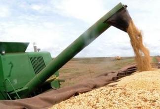 IBGE prevê safra de grãos 2,2% maior neste ano