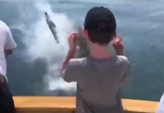 Família é atacada por tubarão branco durante passeio - VEJA VÍDEO