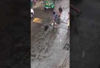 Homem usa cano para salvar cachorro atacado por cobra de 4 metros - VEJA VÍDEO