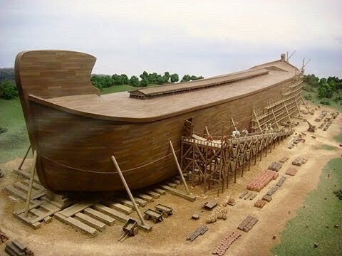 arca de noé 2