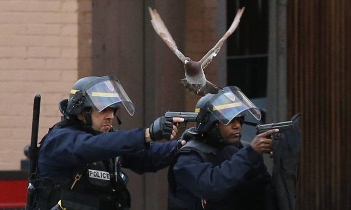 operação policial